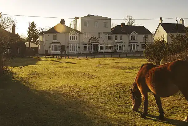 Photo showing Encore