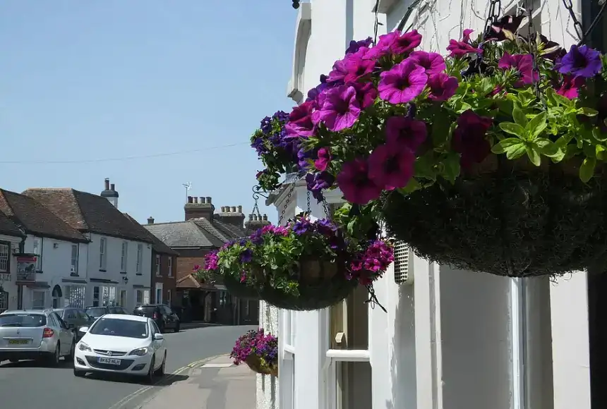 Photo showing The Red Lion Inn