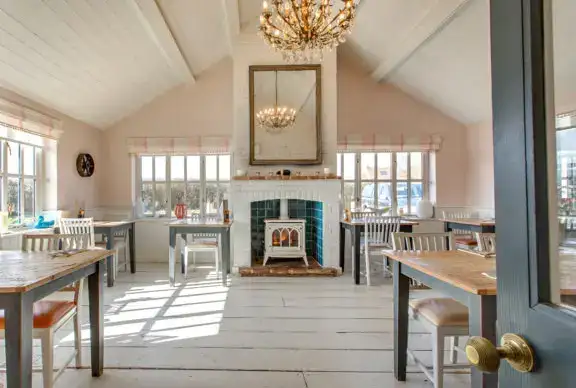 Photo showing The Pigs