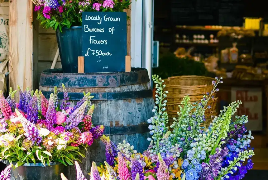 Photo showing Lowden Garden Centre